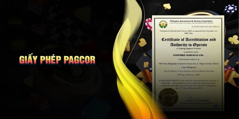 Tổng hợp giấy phép hoạt động hợp pháp