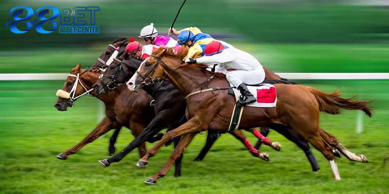 Bí quyết tối ưu hóa thành tích khi tham gia các cuộc đua