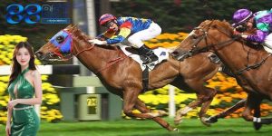 Cá cược đua ngựa