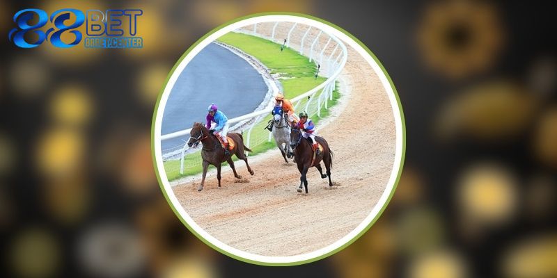 Cách bắt đầu cá cược cho người mới