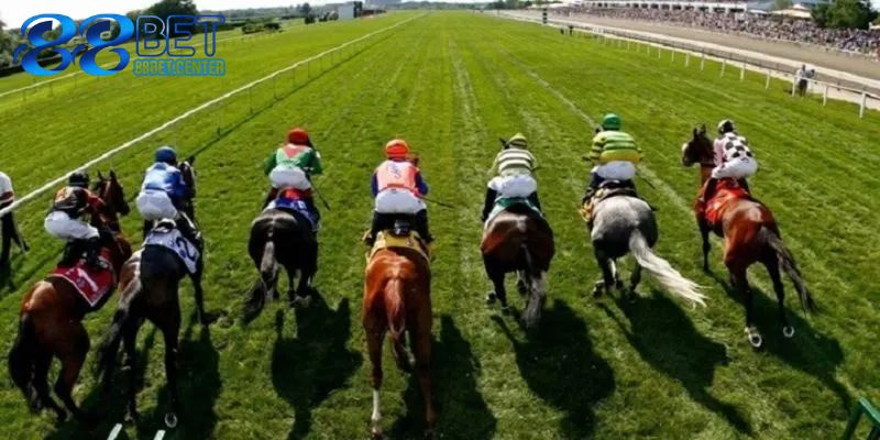 Những điều cơ bản nhất về cá cược đua ngựa